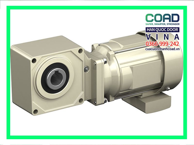 Motor Sumitomo Hyponic (Nhật Bản)